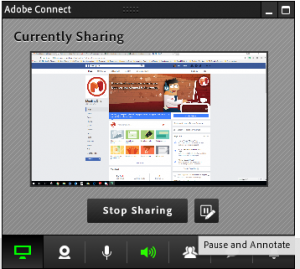 adobe connect screen share
